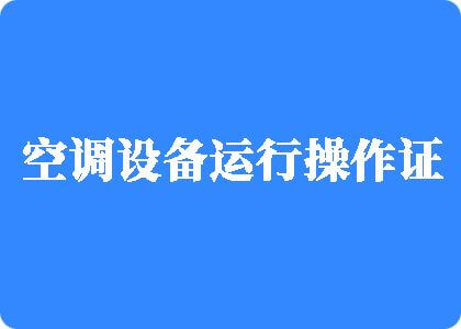 日本人老年人考比片制冷工证